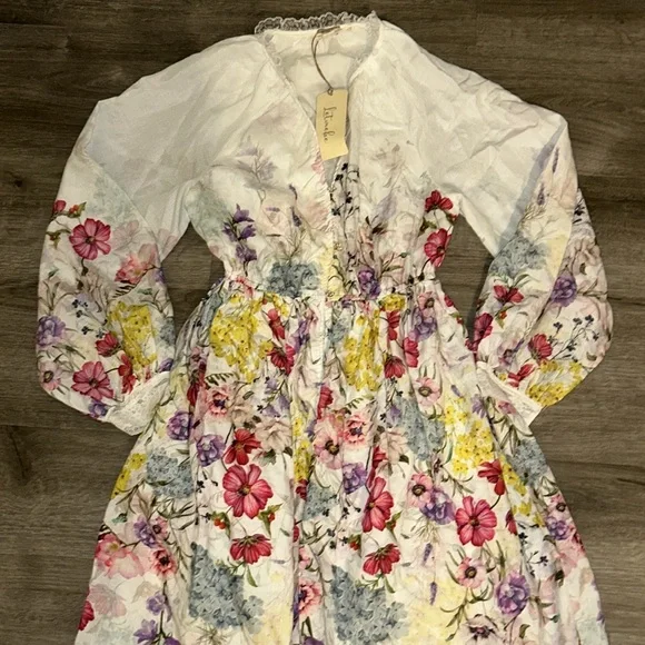 Anthropologie Let me be long sleeve V neck floral A-line midi dress